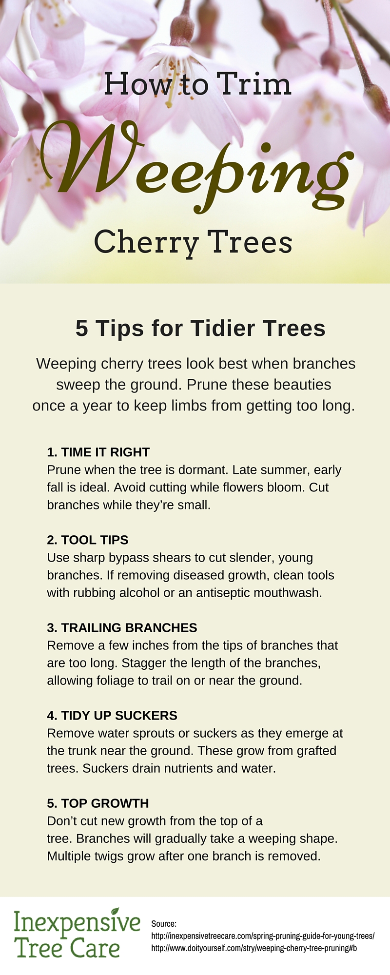 how to trim a weeping cherry tree infographic