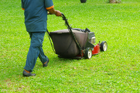 Someone in yard work clothes pushing a lawnmower over freshly cut grass